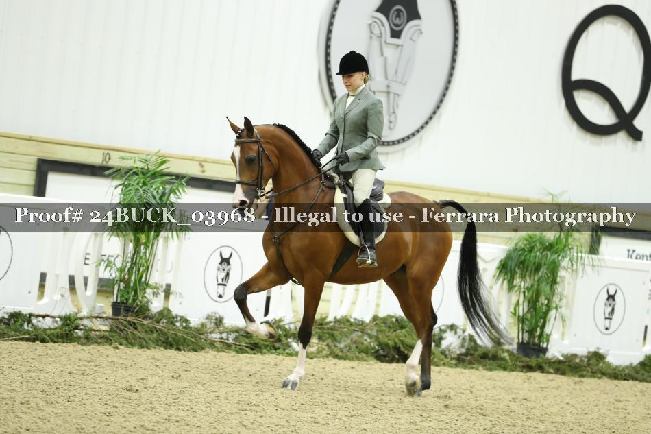 Proof 24BUCK_03968