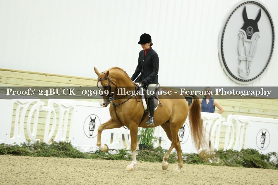 Proof 24BUCK_03969