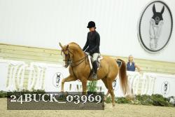 24BUCK_03969 proof