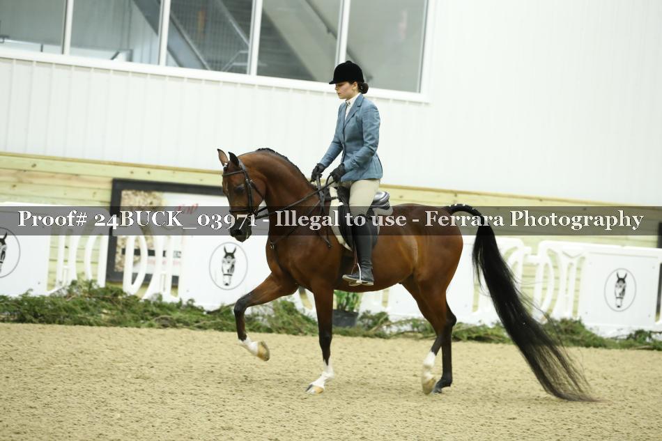 Proof 24BUCK_03971