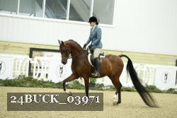 24BUCK_03971 proof