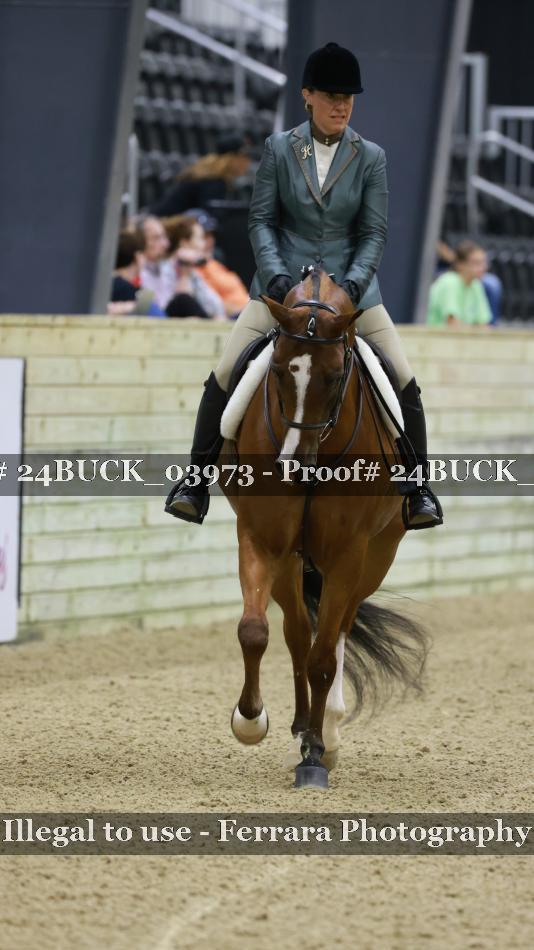 Proof 24BUCK_03973