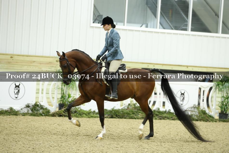 Proof 24BUCK_03974