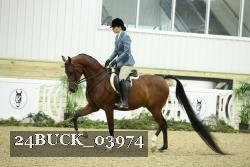 24BUCK_03974 proof