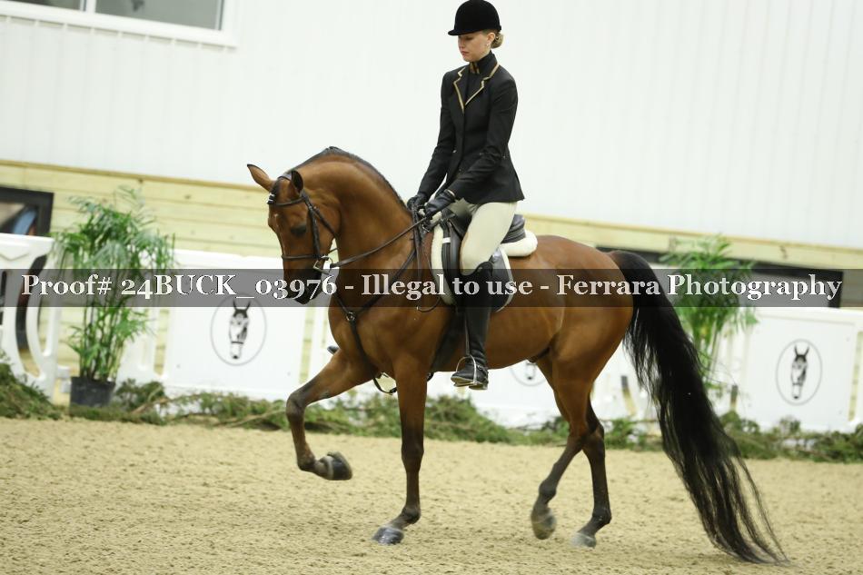 Proof 24BUCK_03976