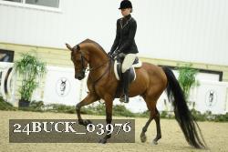24BUCK_03976 proof