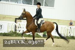 24BUCK_03977 proof