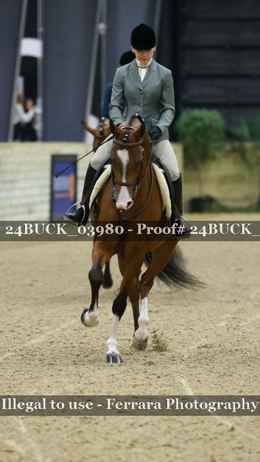 Proof 24BUCK_03980