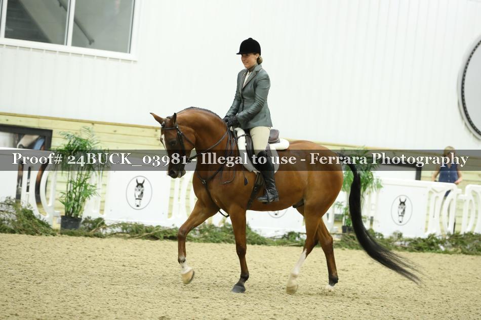 Proof 24BUCK_03981