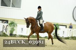 24BUCK_03981 proof