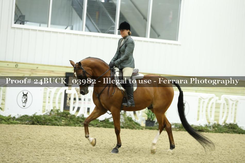 Proof 24BUCK_03982