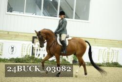 24BUCK_03982 proof