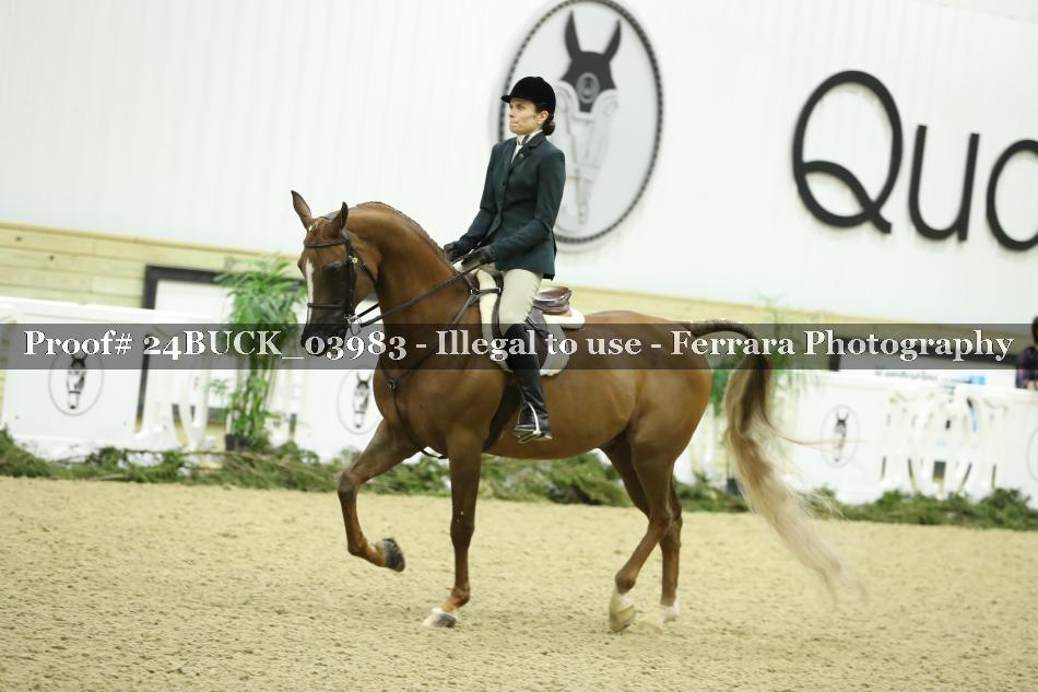Proof 24BUCK_03983