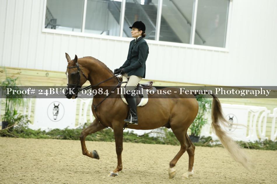 Proof 24BUCK_03984