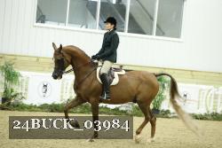 24BUCK_03984 proof
