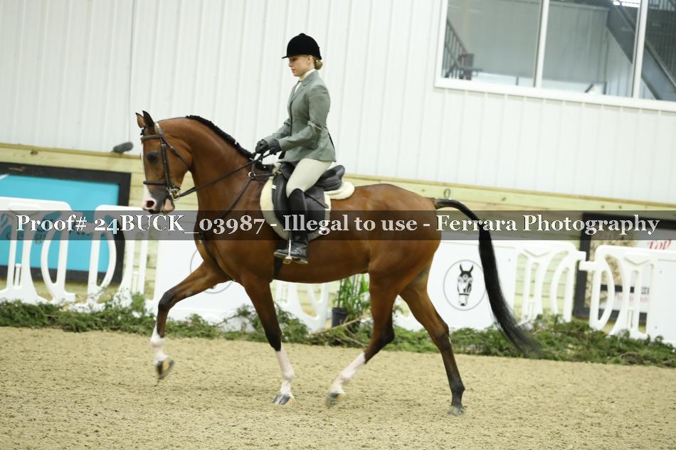 Proof 24BUCK_03987