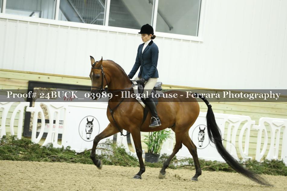 Proof 24BUCK_03989