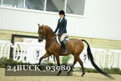 24BUCK_03989 proof