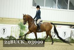 24BUCK_03990 proof