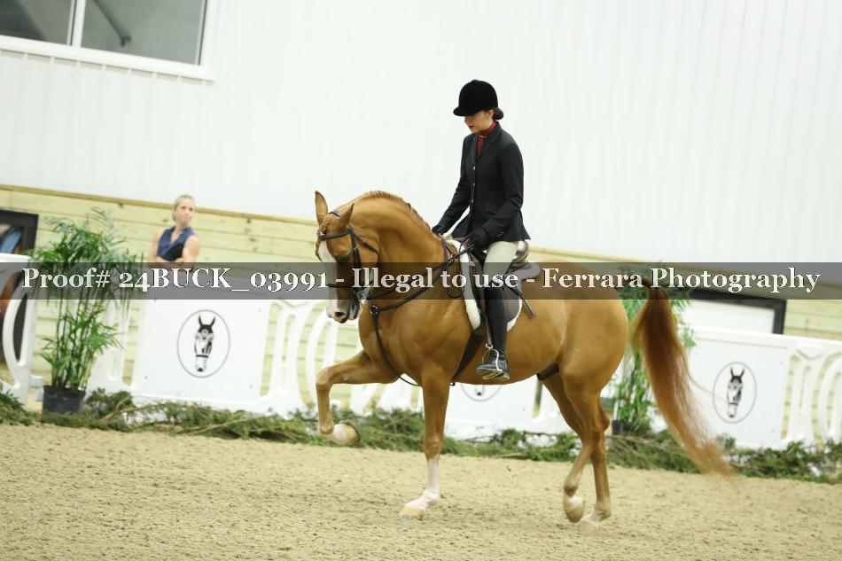 Proof 24BUCK_03991