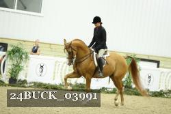 24BUCK_03991 proof