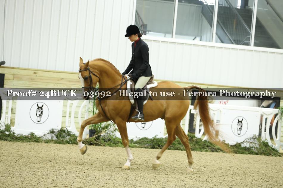 Proof 24BUCK_03992