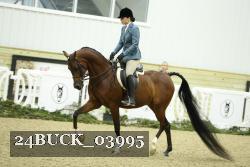 24BUCK_03995 proof