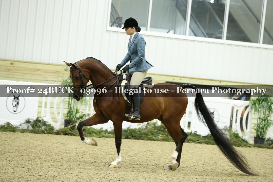 Proof 24BUCK_03996