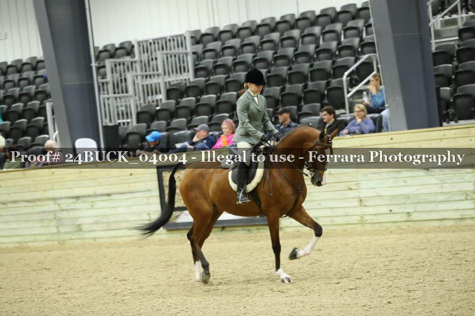 Proof 24BUCK_04004