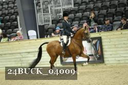 24BUCK_04009 proof