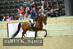 24BUCK_04012 proof