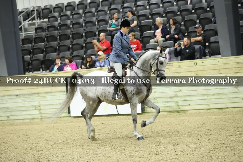 Proof 24BUCK_04013