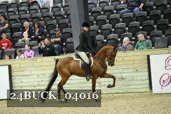 24BUCK_04016 proof
