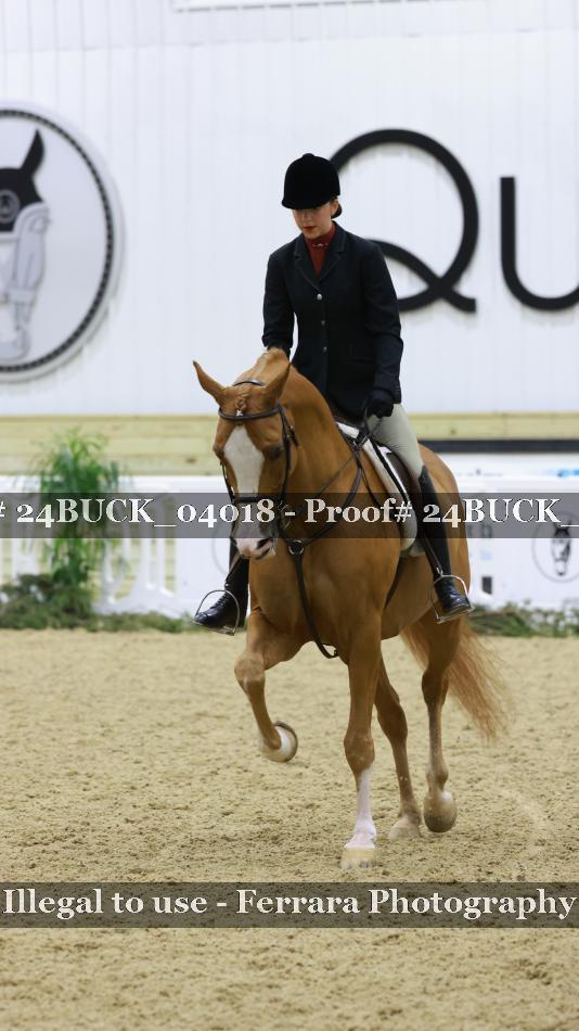 Proof 24BUCK_04018