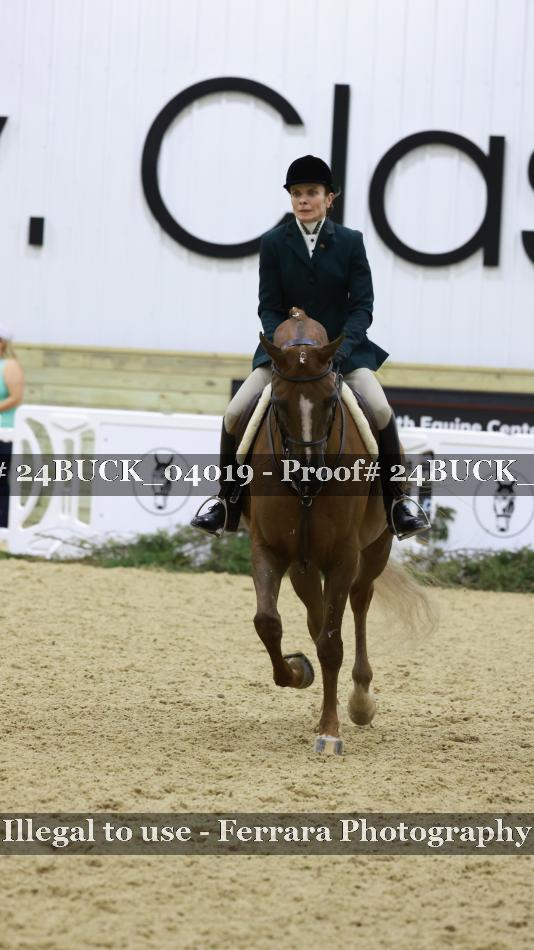 Proof 24BUCK_04019