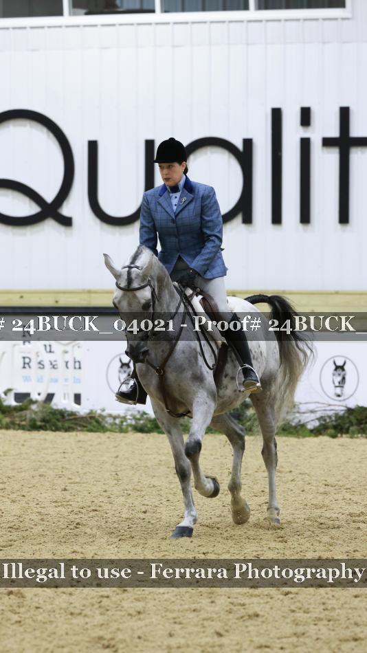 Proof 24BUCK_04021