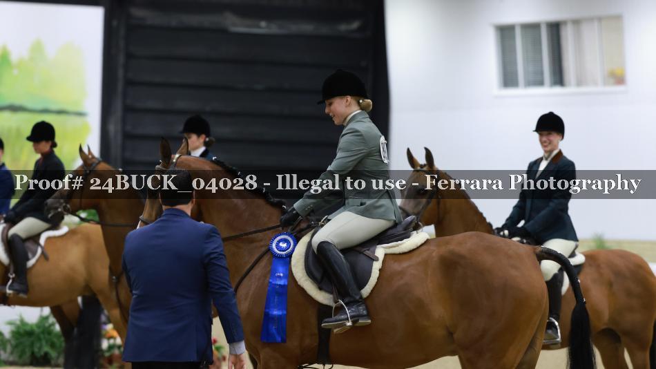 Proof 24BUCK_04028