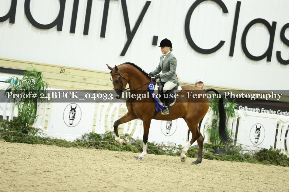 Proof 24BUCK_04033