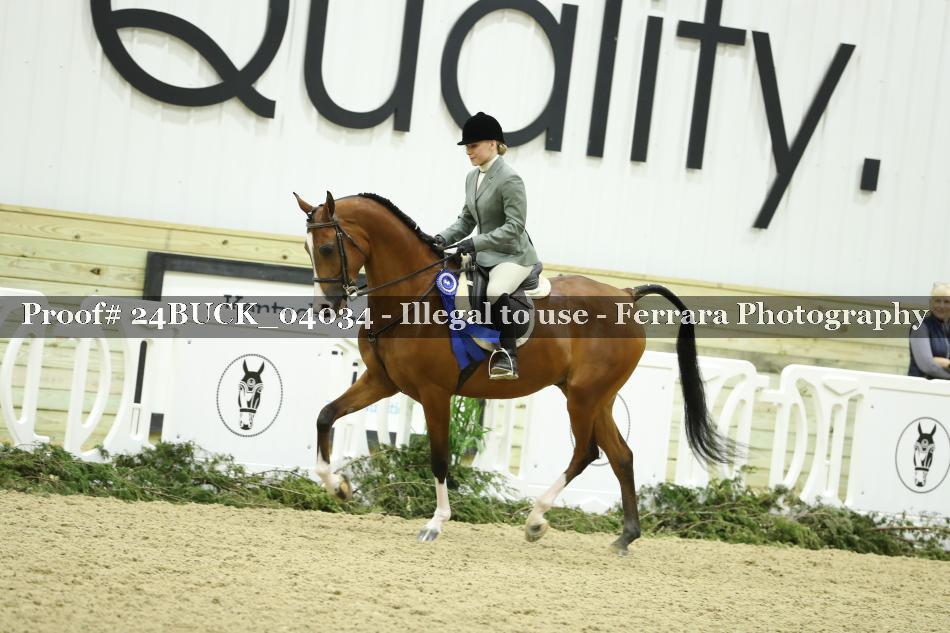 Proof 24BUCK_04034