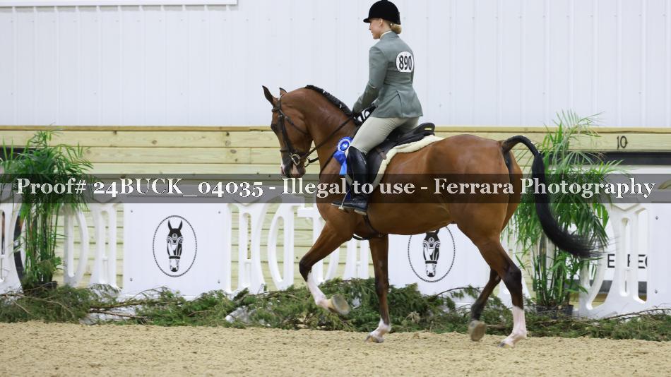Proof 24BUCK_04035