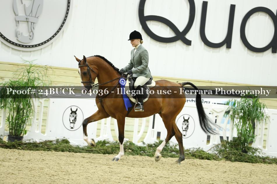 Proof 24BUCK_04036