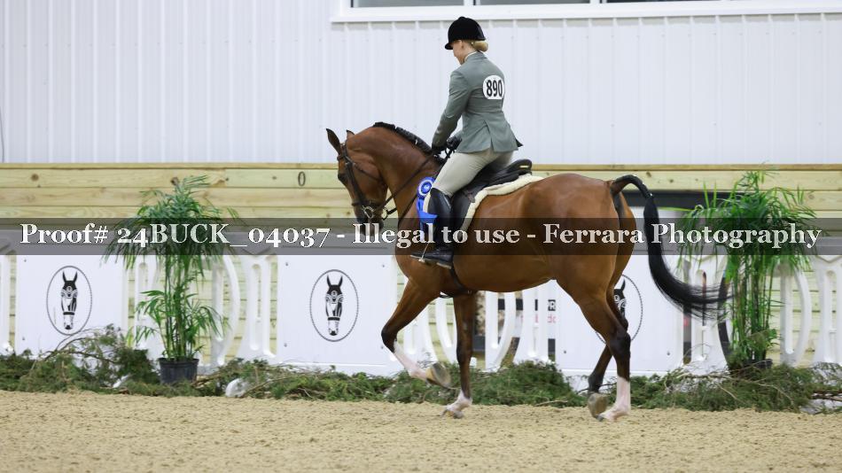 Proof 24BUCK_04037