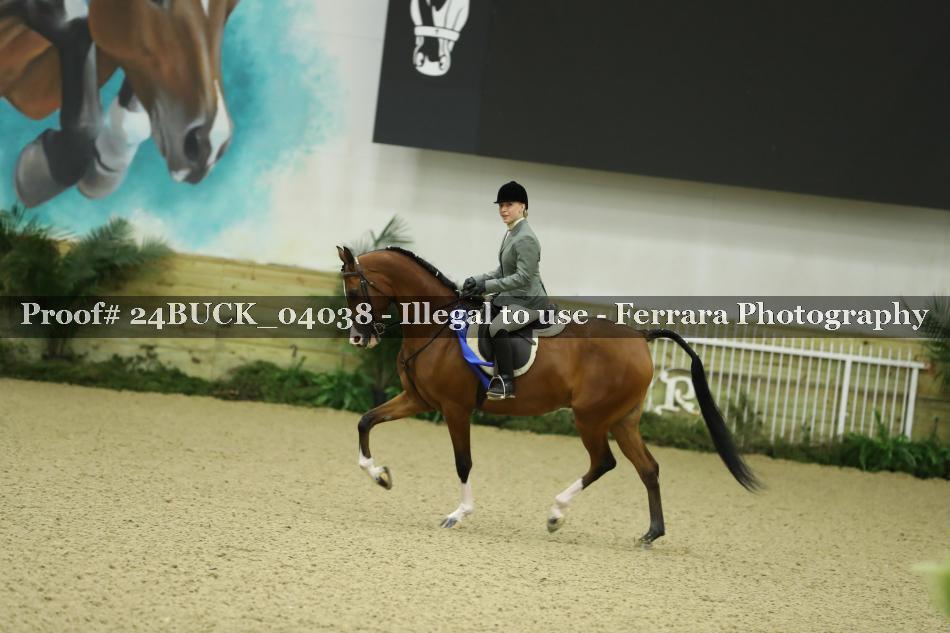Proof 24BUCK_04038
