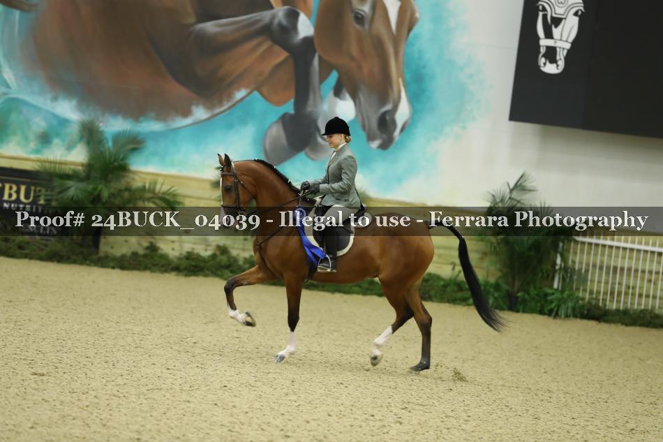 Proof 24BUCK_04039