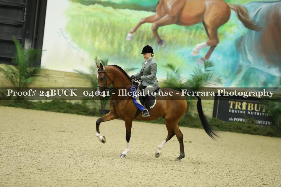 Proof 24BUCK_04041