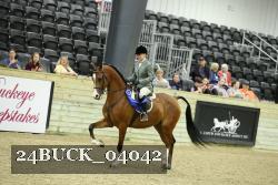 24BUCK_04042 proof