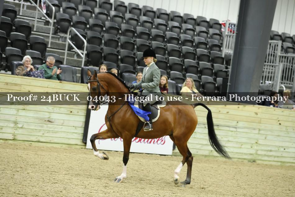 Proof 24BUCK_04043