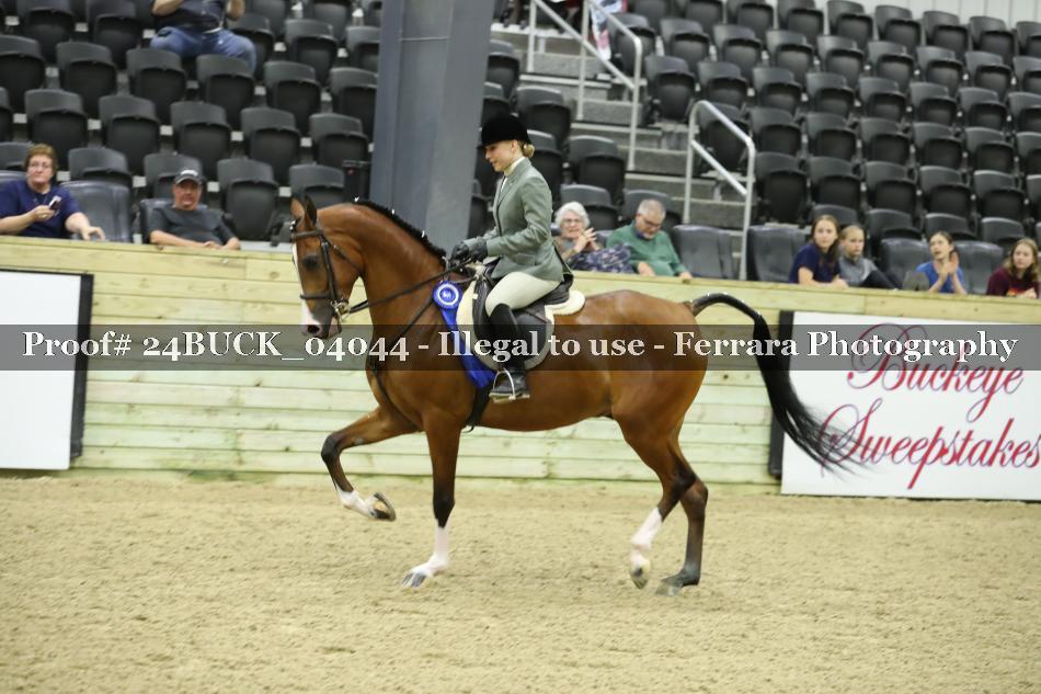 Proof 24BUCK_04044