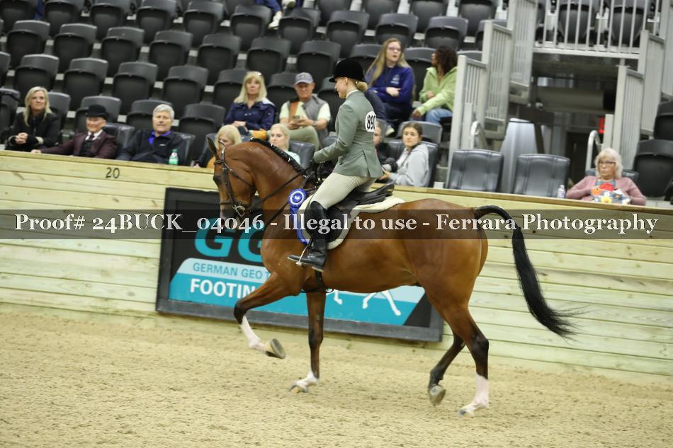 Proof 24BUCK_04046