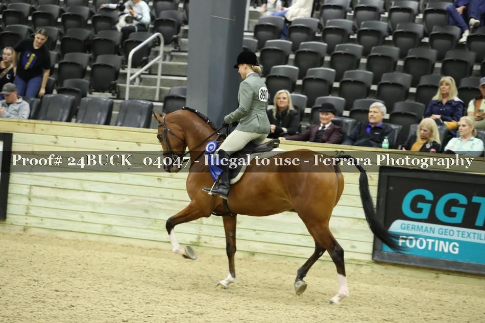 Proof 24BUCK_04047